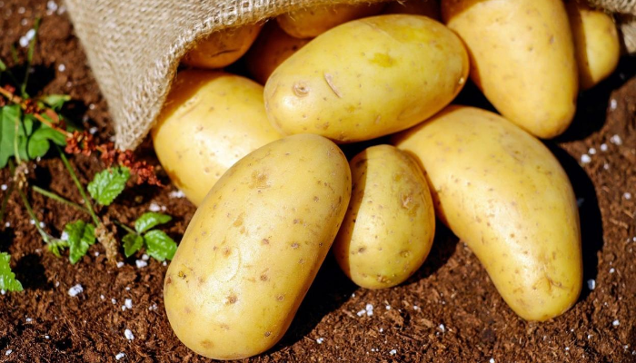 Saco de patatas frescas